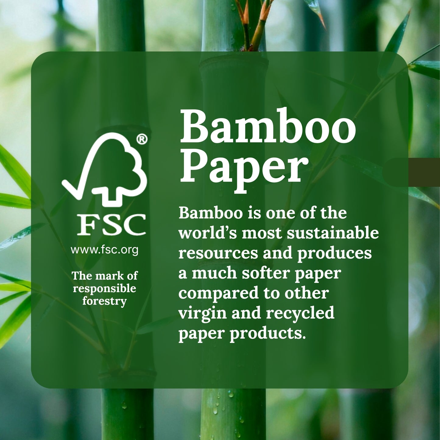 Terrafic Bamboo Facial Tissues, Soft & Strong 2-Ply Sheets. Skin-Safe, Highly Absorbent & Biodegradable