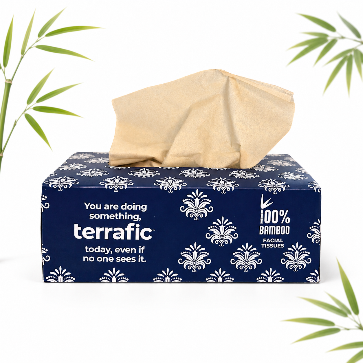 Terrafic Bamboo Facial Tissues, Soft & Strong 2-Ply Sheets. Skin-Safe, Highly Absorbent & Biodegradable