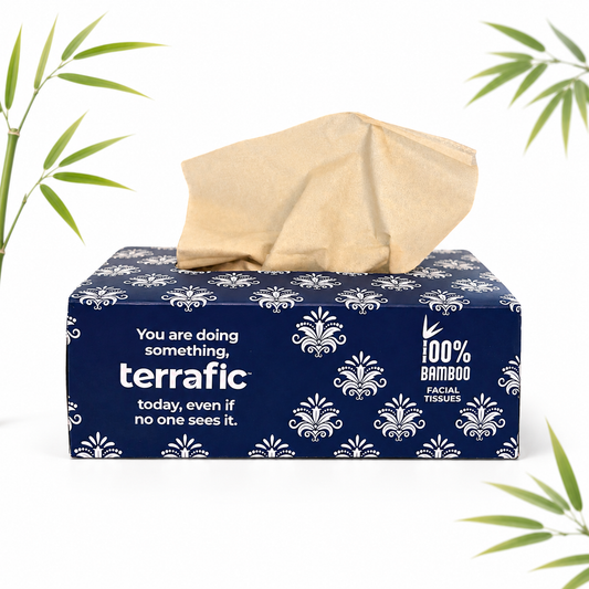 Terrafic Bamboo Facial Tissues, Soft & Strong 2-Ply Sheets. Skin-Safe, Highly Absorbent & Biodegradable