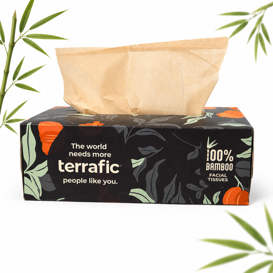 Terrafic Bamboo Facial Tissues, Soft & Strong 2-Ply Sheets. Skin-Safe, Highly Absorbent & Biodegradable